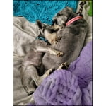 Image 6 of customer photos