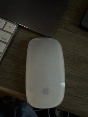 Apple Magic Mouse 2 - Walmart.ca