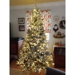 Image 4 of customer photos