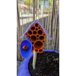 Image 6 of customer photos