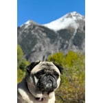 Image 7 of customer photos