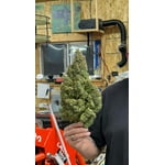 Image 3 of customer photos