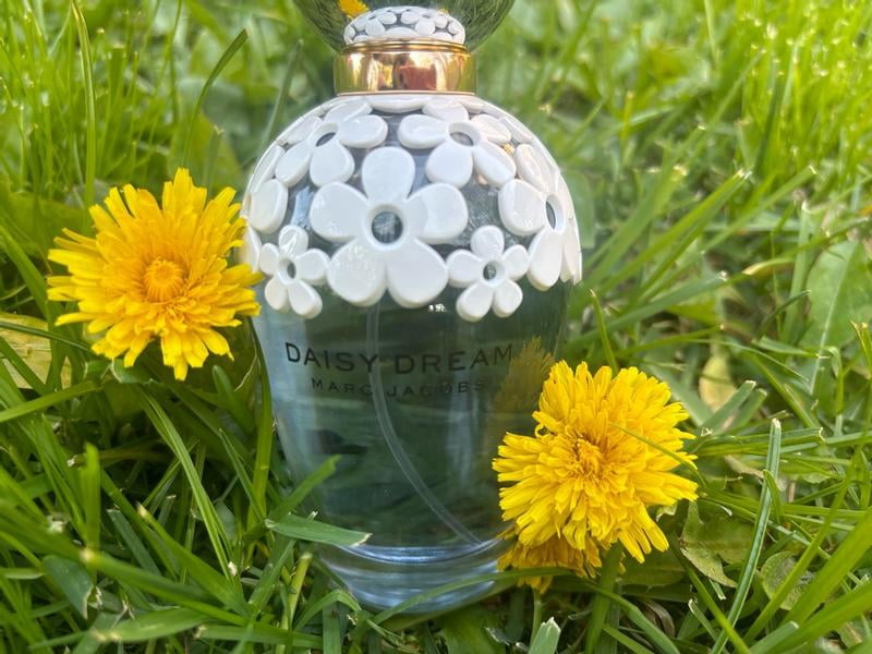 Marc Jacobs Daisy Dream Eau De Toilette Spray for Women 1.7 oz