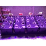 Image 7 of customer photos