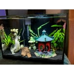 Image 1 of customer photos