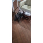 Image 6 of customer photos