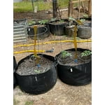 Image 7 of customer photos