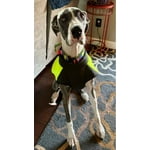 Image 2 of customer photos