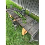 Image 6 of customer photos