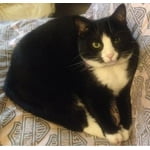 Image 2 of customer photos