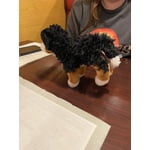 Image 3 of customer photos