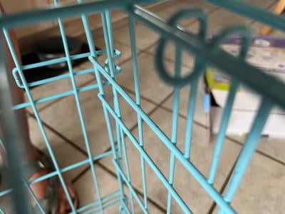 MidWest Homes for Pets 42-Inch Two-Door iCrate Folding Dog Crate