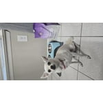 Image 5 of customer photos