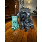 Image 3 of customer photos