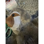 Image 6 of customer photos