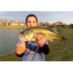 Image 6 of customer photos