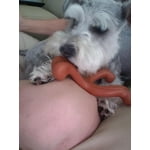 Image 6 of customer photos