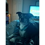 Image 7 of customer photos