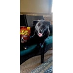 Image 4 of customer photos