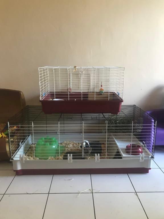 midwest wabbitat deluxe rabbit home