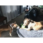 Image 4 of customer photos