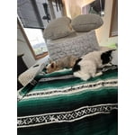 Image 1 of customer photos
