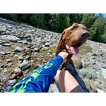 Image 6 of customer photos