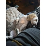 Image 5 of customer photos