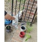 Image 6 of customer photos