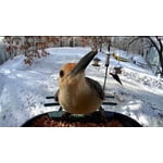 Image 5 of customer photos