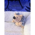 Image 7 of customer photos