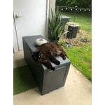 Image 2 of customer photos