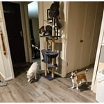 Image 6 of customer photos