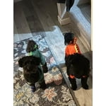 Image 6 of customer photos