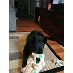 Image 4 of customer photos