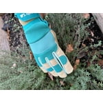 Image 4 of customer photos