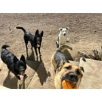 Image 6 of customer photos