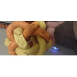 Image 3 of customer photos