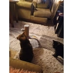 Image 7 of customer photos