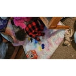 Image 7 of customer photos