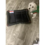 Image 5 of customer photos