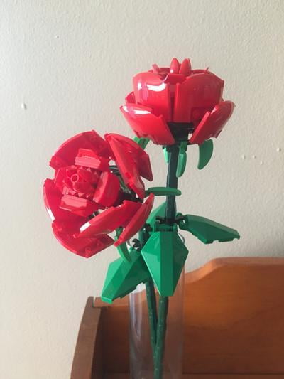 LEGO Roses Building Kit, Unique Gift for Valentine's Day, Botanical  Collection, Gift to Build Together, 40460