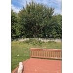 Image 6 of customer photos