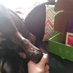 Image 5 of customer photos