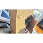 Image 4 of customer photos