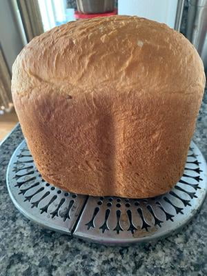 Hamilton Beach HomeBaker 2 Pound Automatic Breadmaker with Gluten Free  Setting | Model# 29881