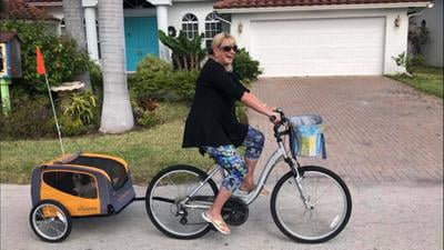 craigslist bike trailer