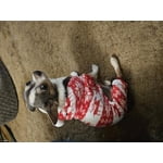 Image 2 of customer photos