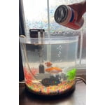 Image 7 of customer photos