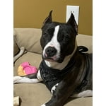 Image 2 of customer photos